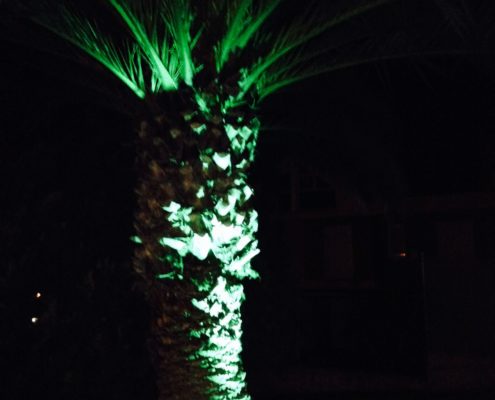 Iluminacion Estructural Jardín. Palmera en verde